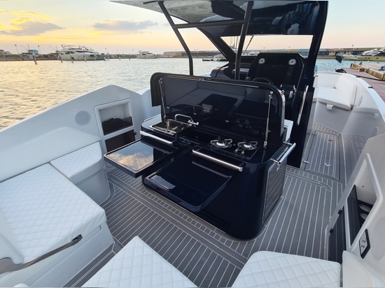 Aurea 30 Power Catamaran