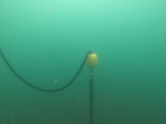 Underwater photo of the least-impact mooring line in place
