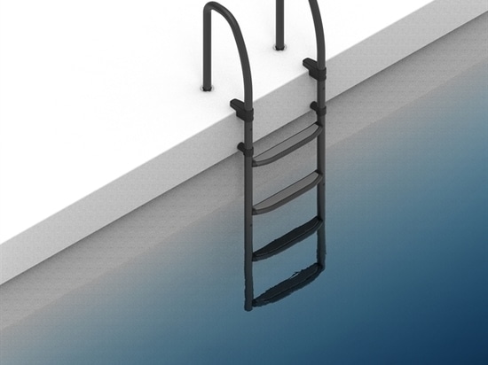 Removable Carbon Ladder width 600 mm