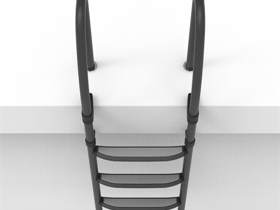 Removable Carbon Ladder width 600 mm