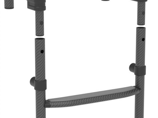 Removable Carbon Ladder width 600 mm