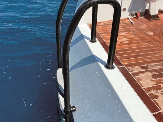 Removable Carbon Ladder width 600 mm