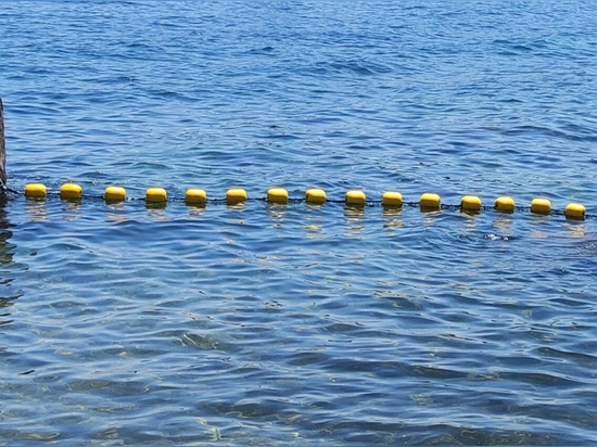 Anti-jellyfish net Zeus V2O Marine