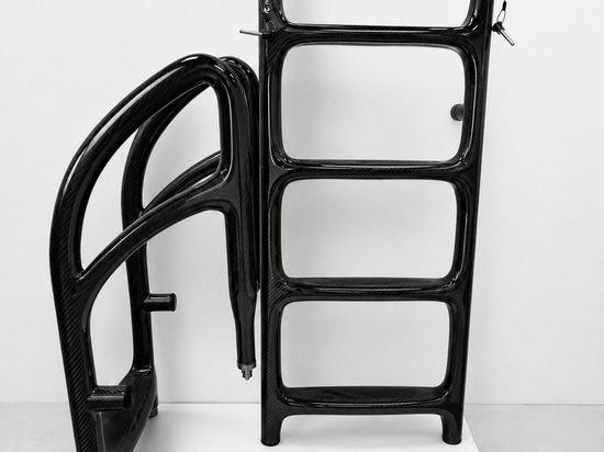 Flyup -  Carbon fiber ladder