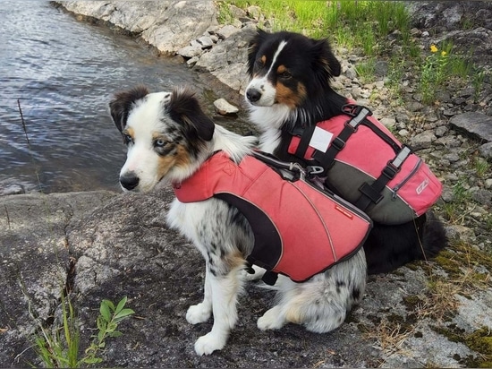 Multi-day adventure on Sweden's Lake STORA LE