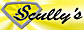 Scully's Aluminum Boats