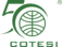 COTESI Companhia de Têxteis Sintéticos S.A