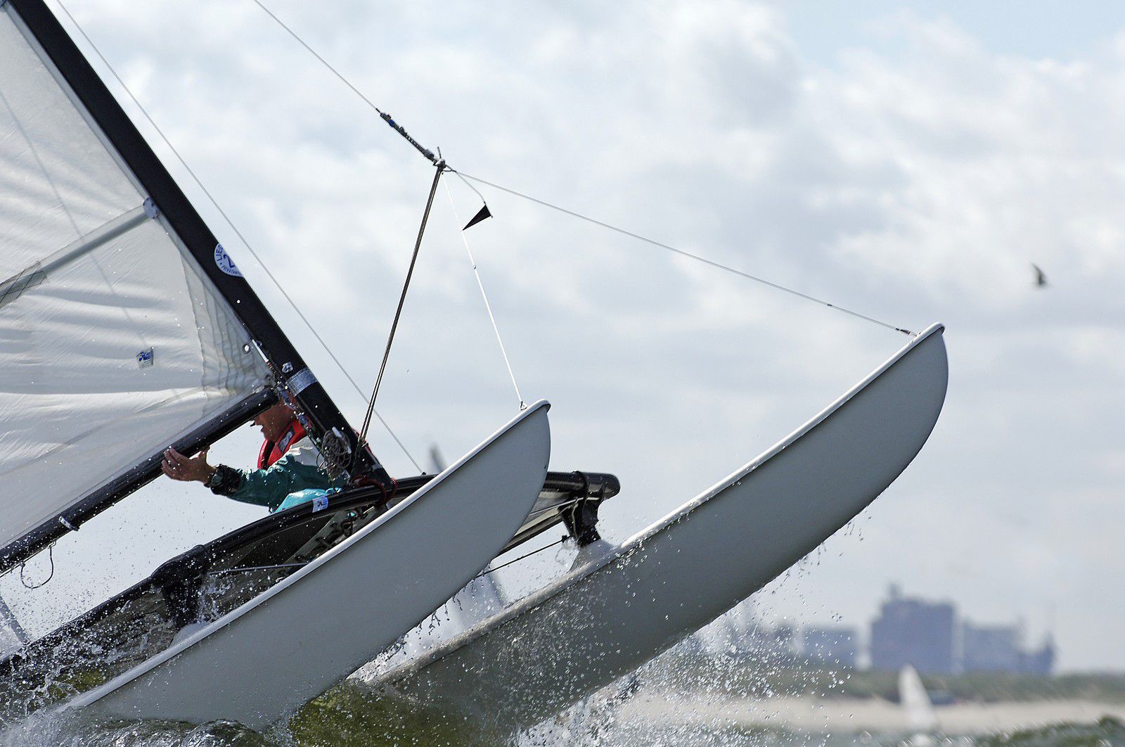 レガッタカタマランヨット - Hobie Cat USA - 1人乗り / シングル