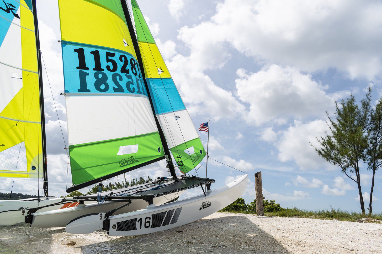 レガッタカタマランヨット - Hobie Cat USA - 1人乗り / シングル 
