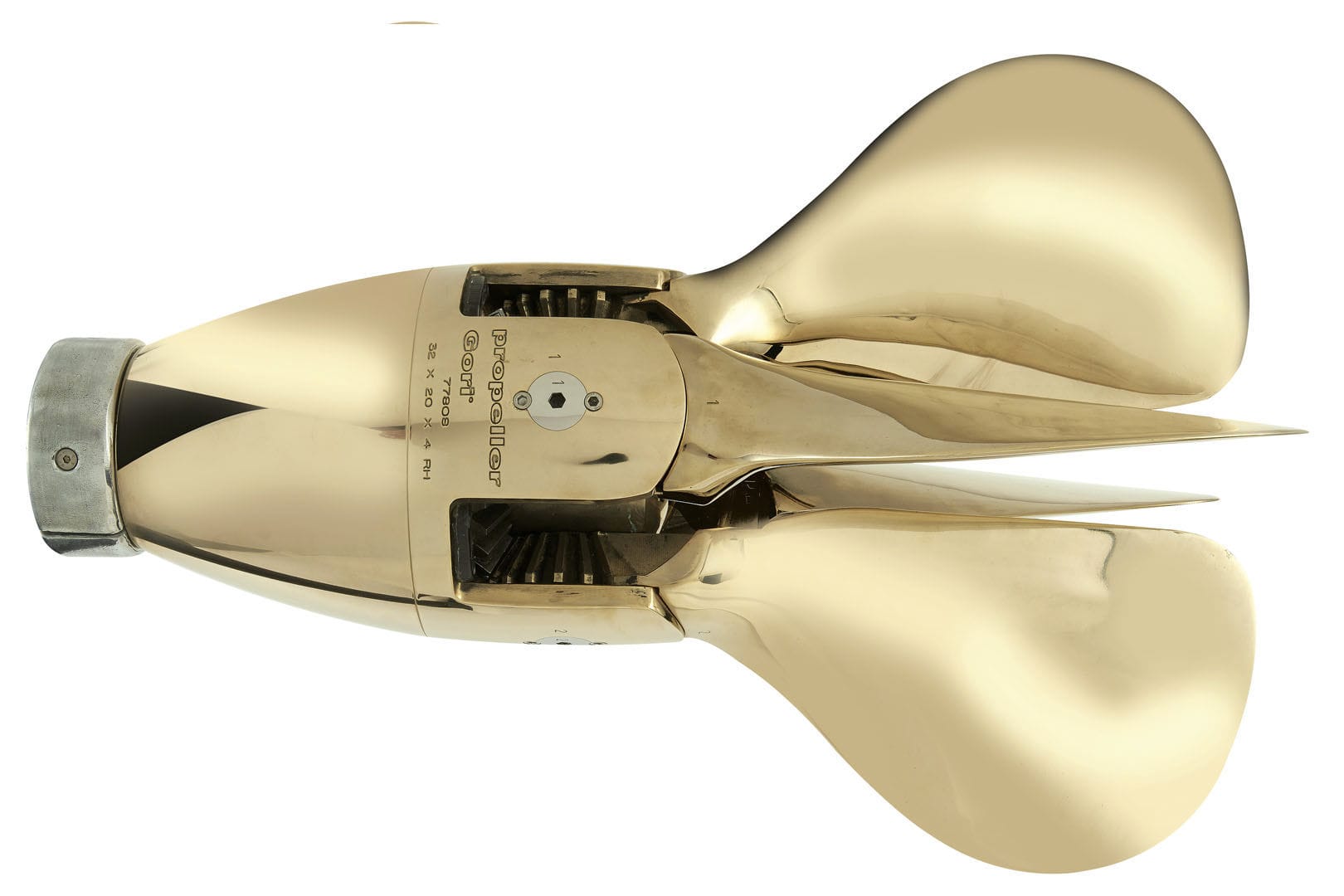 22143-20384524.jpg