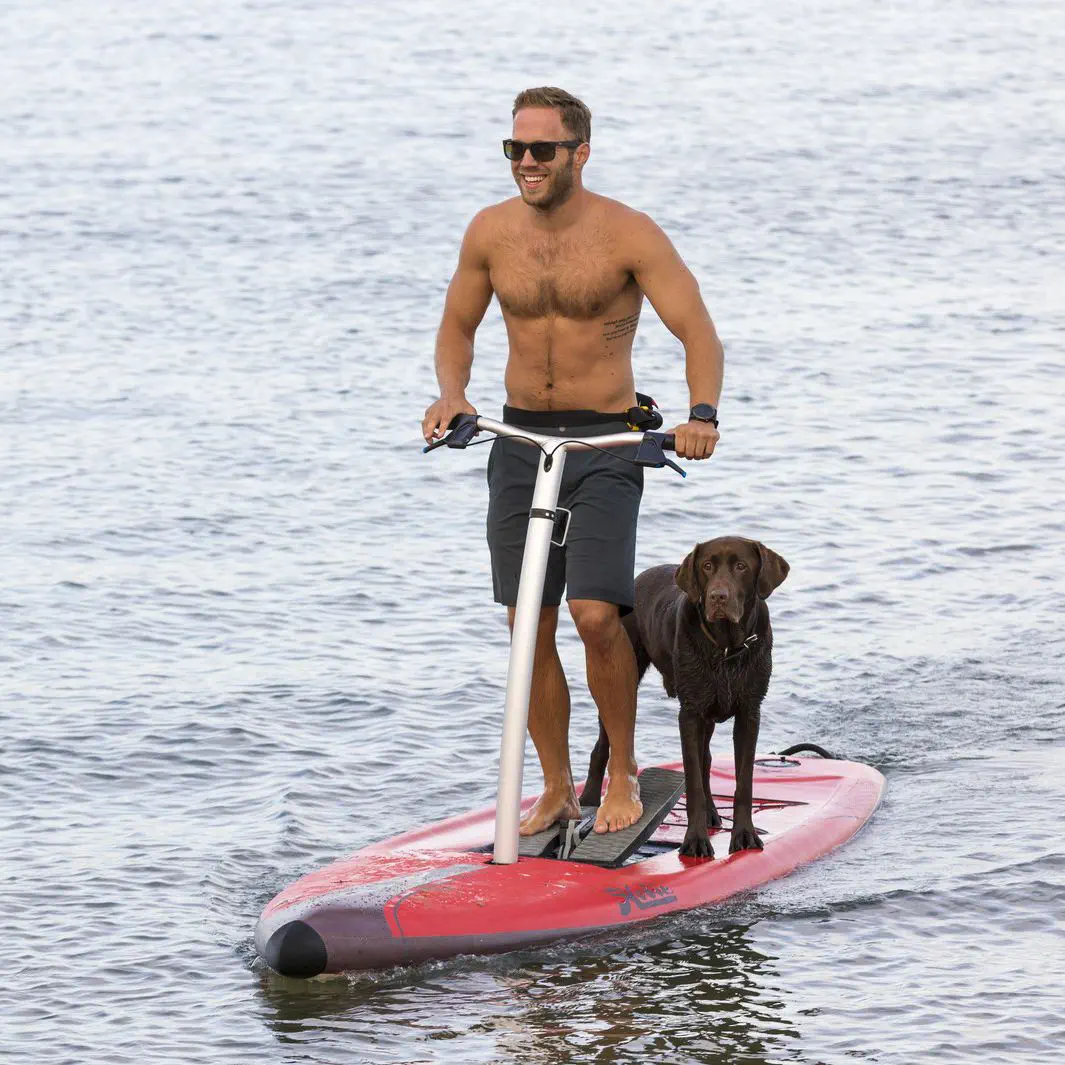 ホビーミラージュエクリプス 立ち漕ぎ SUP - その他スポーツ