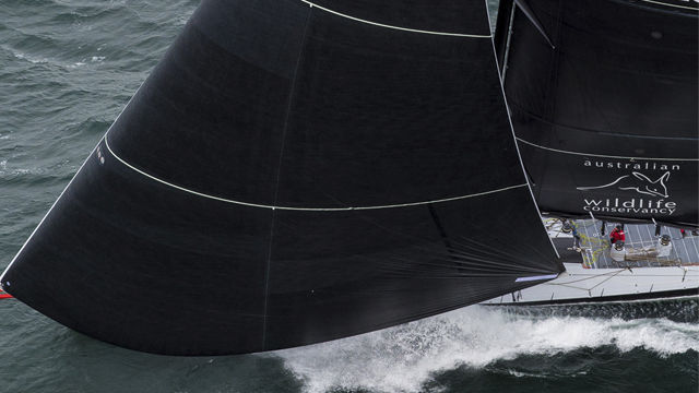 海洋レースセーリングスーパーヨット - COMANCHE - Hodgdon