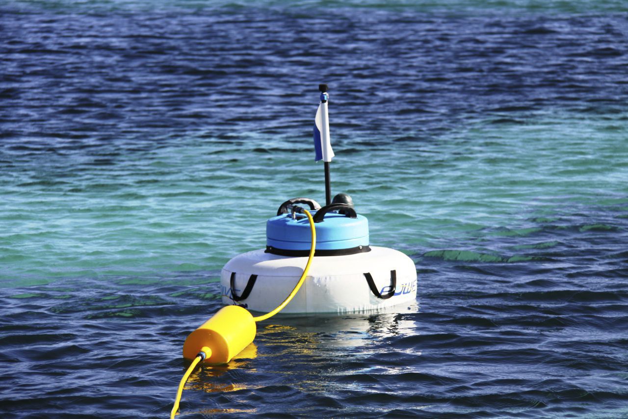 25592-9466943.jpg