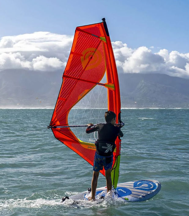 ウィンドサーフィン　ウェイブボード ウインドサーフィンボード
