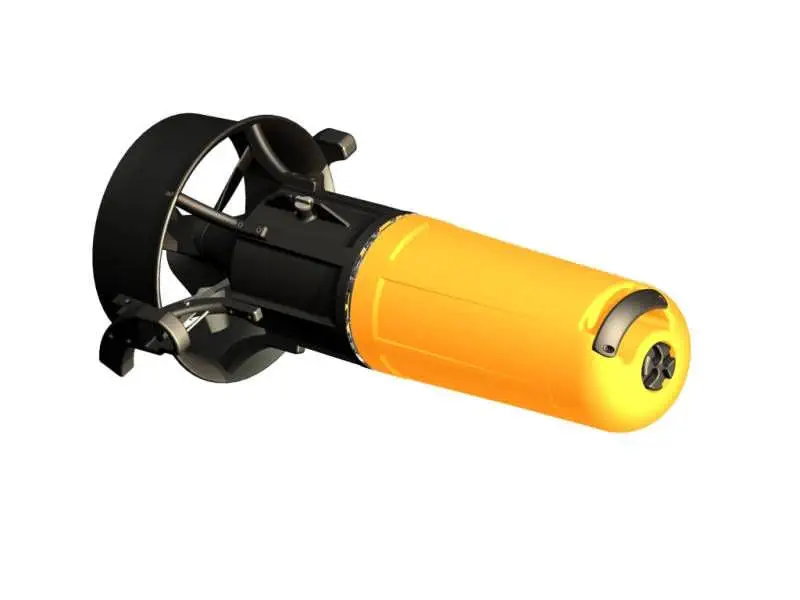 すい 36873-5535033.webp