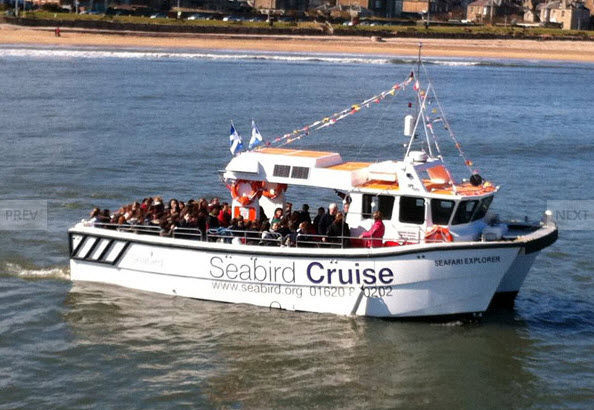 客船業務用ボート - Colin Aston - Catapult Catamarans Marine