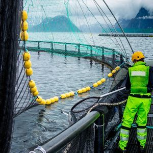 釣り用ネット