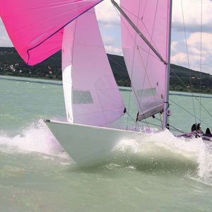 大帆 - Doyle - ジブ / スピンネーカー / モノタイプ ヨット用