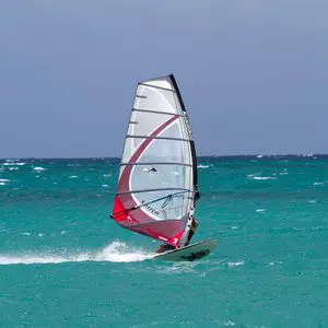 ウィンドサーフィン セイル 8.4㎡ maui sail TR X 2014 レースセイル - 家具