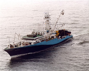 マグロ引網漁船商業用漁船