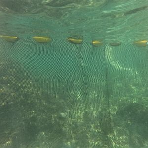 ネット流木止め