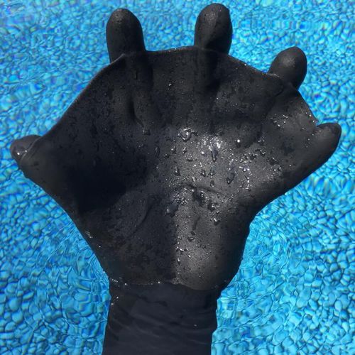 ダイビンググローブ - FORWARD WEBBING - Black Lagoon Products - 水上スポーツ用 / フルタイプ