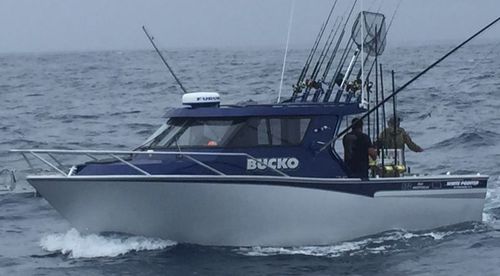 業務用漁船業務用ボート - 870  - White Pointer Boats Ltd - 船内機