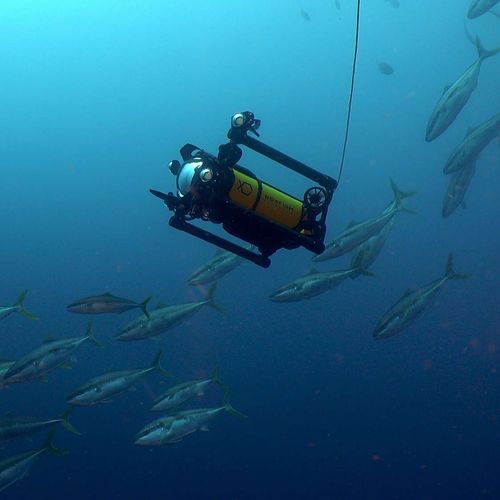 写真撮影用海中無人操縦機 - Luna - Boxfish Research - 撮影用 / フォトグラメトリー用 / 係留式