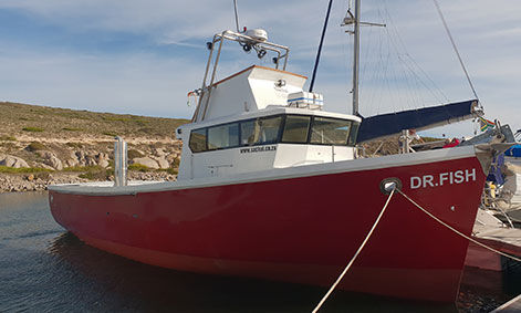 操舵室ありトロール船 - DR FISH - Sachal Shipyard