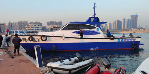 釣り用モーターヨット - PELAGIC 1700 - Qingdao Allheart Marine Co., Ltd. - 操舵室あり