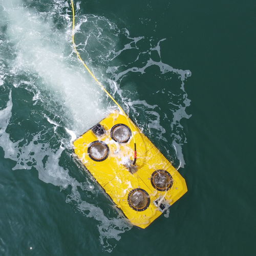 船体の掃除用ROV - MEPUS-UICR - ZhiZheng Ocean Technology Company