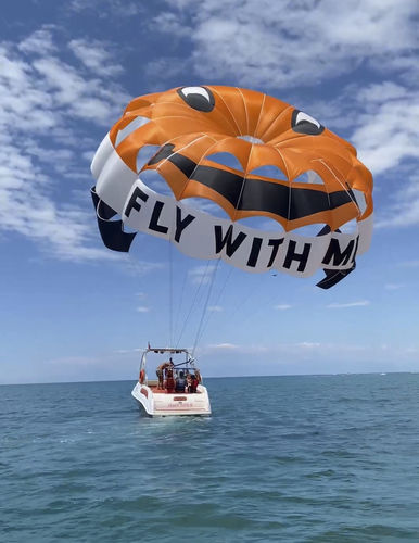 オーダーメイドパラセール - RP42 FT Earth - Risus Parasails - 強風用 / ボート打ち上げ用 / ビーチ打ち上げ用