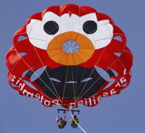 オーダーメイドパラセール - RP28 FT NEPTUN - Risus Parasails - 強風用 / ボート打ち上げ用 / ビーチ打ち上げ用