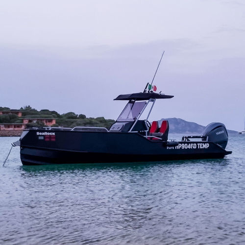 船外機センターコンソールボ－ト - XR7 - SeaRock Boats SRL - ツインエンジン / 滑走船体 / センターコンソール