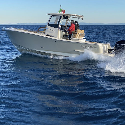 船外機キャビンクルーザ - T250 SF Capraia - Tuccoli - Technology Boats - ガソリン / ツインエンジン / 滑走船体