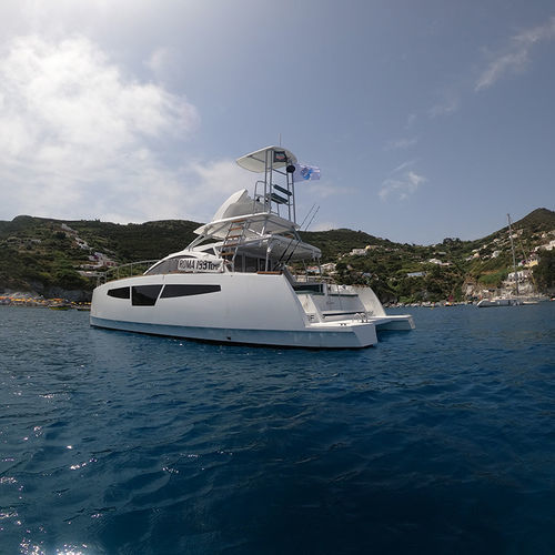 カタマランエクスプレスクルーザー - C-Cat 40 PWF - Comar Yachts - 船内機 / ツインエンジン / フライブリッジ