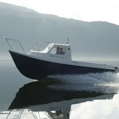 船外機漁船 - Pilot House 20 - Orkney Boats - 操舵室あり / ベッド2台