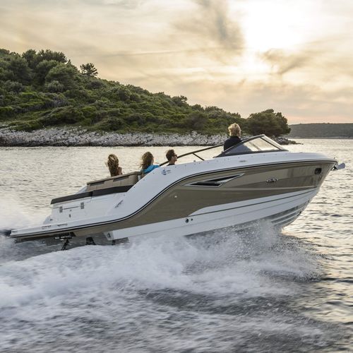 船尾駆動ランナバウトボート - SUN SPORT 250 - Sea Ray - デュアルコンソール / オープン / 水上スキー