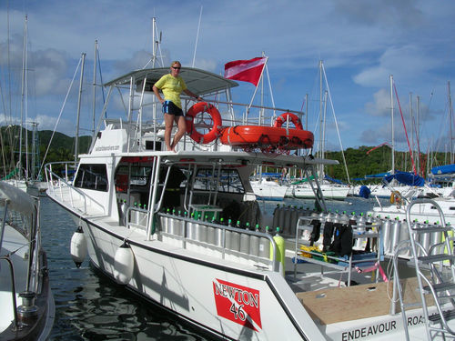 潜水サポート船業務用ボート - 46' Dive Special - Newton Boats - 船内機