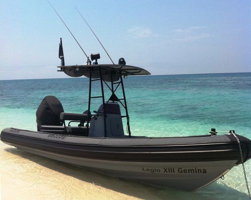監視船業務用ボート - WAVERIDER 650 - GEMINI MARINE PTY LTD - 船外機 / 複合艇