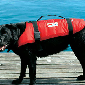 ペット用浮力補助具 - CAT + DOG - Grabner GMBH, Austria - 水上スポーツ用 / フォーム