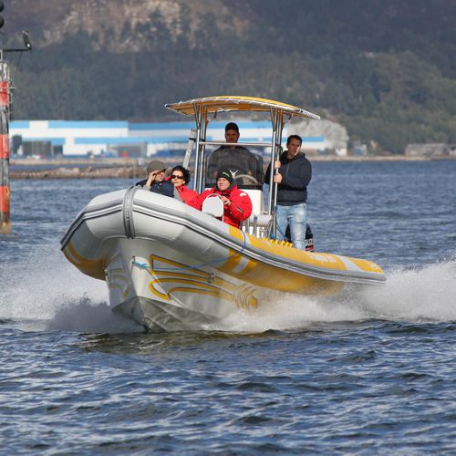 遊覧船業務用ボート - FAST-1100  - Narwhal - 潜水サポート船 / 船外機 / 複合艇