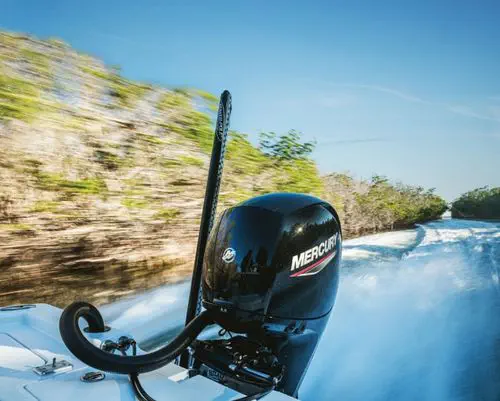 船外機 - 150 - Mercury Outboards/マーキュリー - ガソリン 船外機 - 150 - Mercury Outboards/マーキュリー - ガソリン