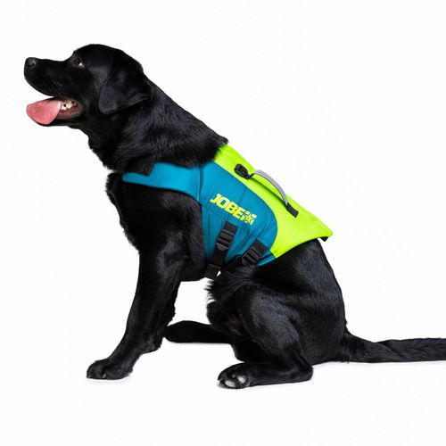 水上スポーツ用浮力補助具 - Lime Teal - Jobe Sports/ジョベ - ペット用 / フォーム