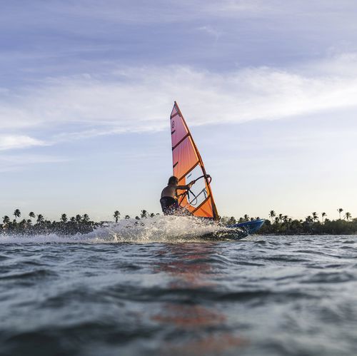 ウェイブウインドサーフィンセイル - COMBAT - NeilPryde Windsurfing - RDM / 4バテン / オレンジ