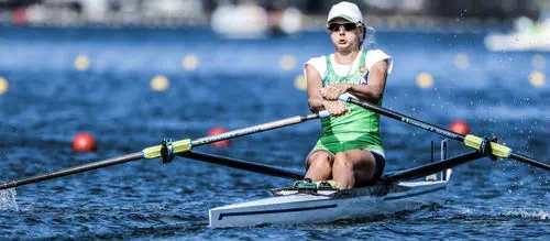 模型　rowing ローイング　シングルスカル　ボート 模型 rowing ローイング シングルスカル ボート - メルカリ