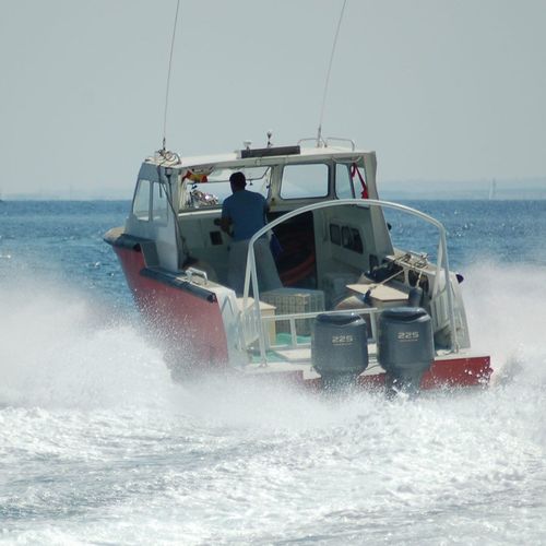 潜水サポート船業務用ボート - 990 - MOGGARO ALUMINIUM YACHTS - 船外機 / アルミニウム