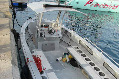 潜水サポート船業務用ボート - 900JET  - MOGGARO ALUMINIUM YACHTS - 船内機 / アルミニウム