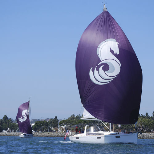 非対称スピンネーカー - Blue Line - Ullman Sails - クルージングヨット用 / トライラジアルカット / Dacron®