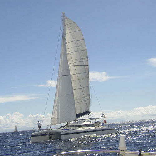 カタマラン - FREYDIS 49' - Tournier Marine - 海洋クルージング / カーボンマスト / セイルドライブ